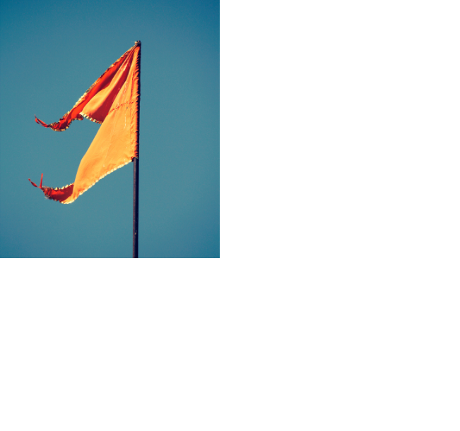 Untitled design Untitled design